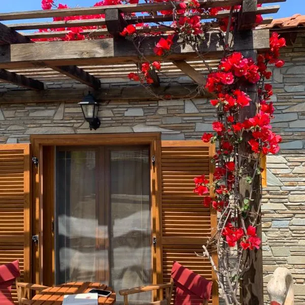 Georgia's House Sykia，位于锡基亚的酒店