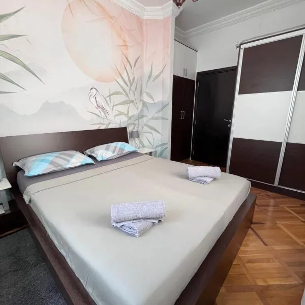 Apartman Sasha 1 - Ask for free parking，位于Sajmište的酒店