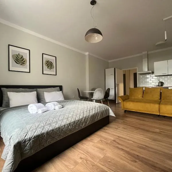 DORMIDARE Apartments Mladá Boleslav，位于马达伯乐斯拉夫的酒店