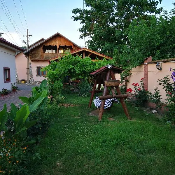 Vila Speranta，位于Pleşcoi的酒店