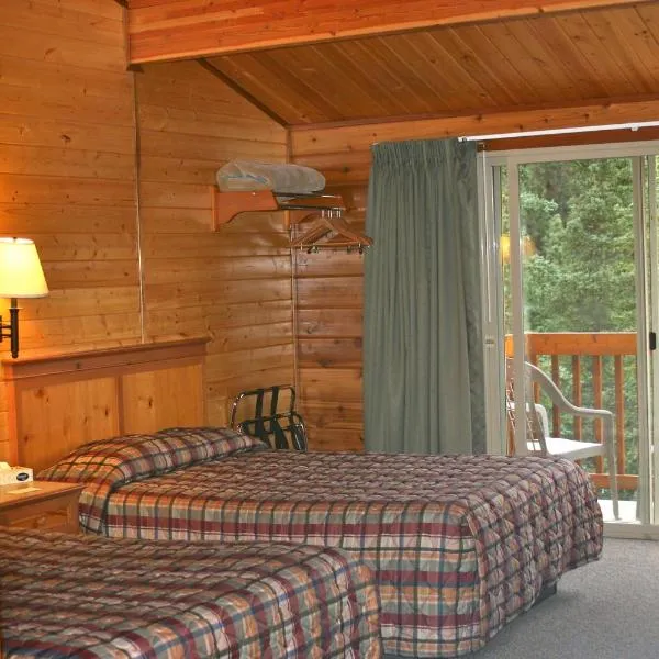 迪纳利灰熊度假村山林小屋，位于麦金利公园的酒店