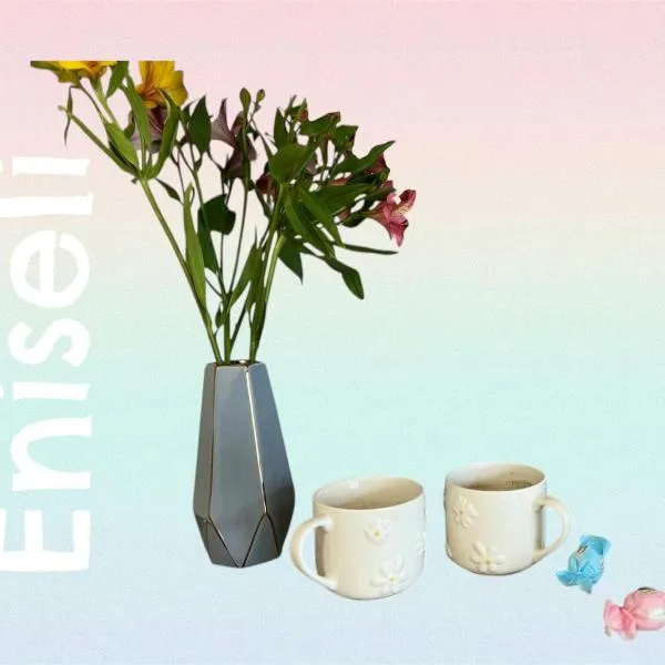 Eniseli，位于查克维的酒店