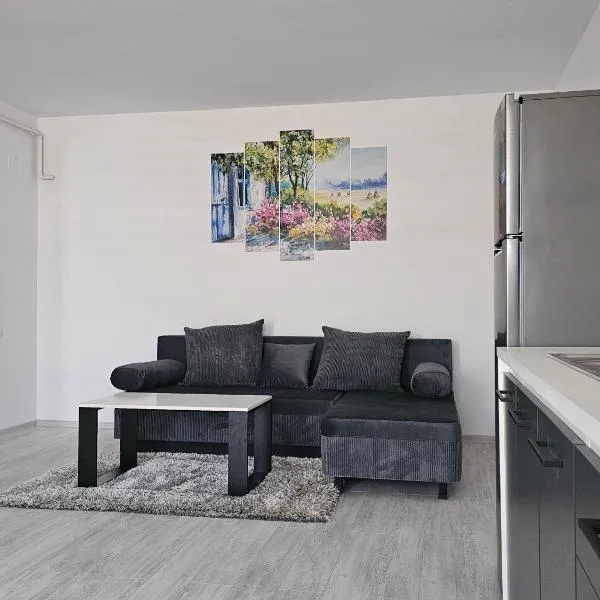 Apartament Residence，位于克勒拉希的酒店