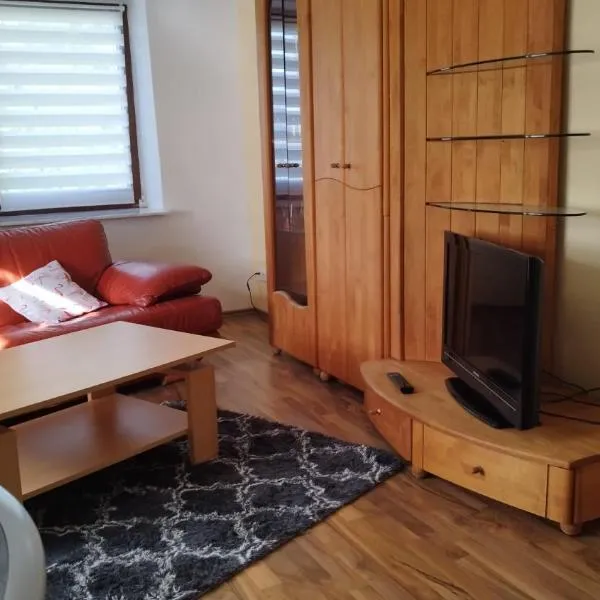 Ruhige tierfreundliche Einliegerwohnung，位于Feld-Schönau的酒店