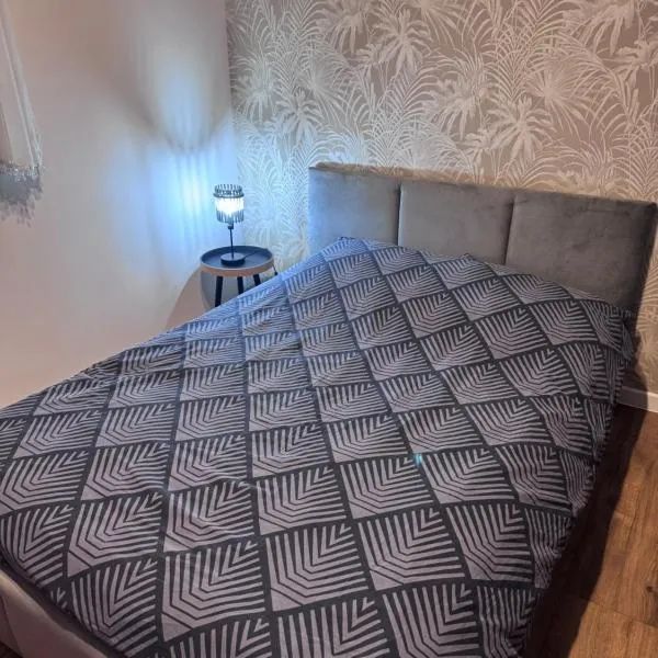 Kamienica Apartament Iława PIERWSZE PIĘTRO，位于伊拉华的酒店