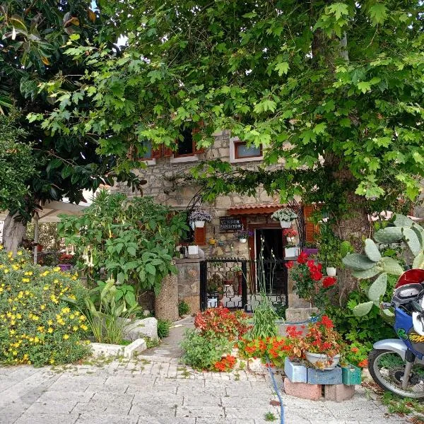 Yükser Pansiyon，位于锡德的酒店