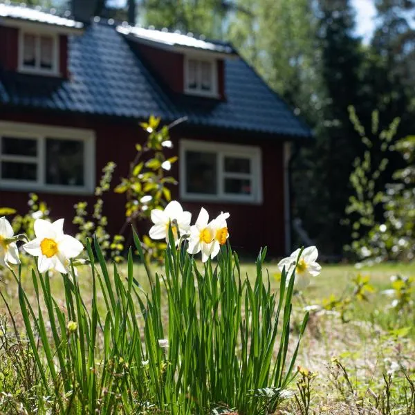 Private Plan Torpet Cabin，位于Södra Ström的酒店
