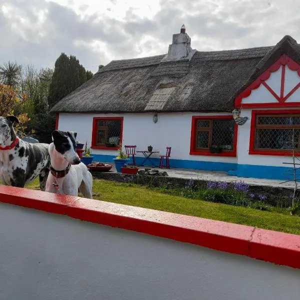Aisling Cottage，位于约尔的酒店