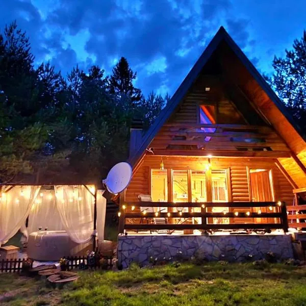 Chalet with outdoor jacuzzi near Sarajevo，位于帕莱的酒店