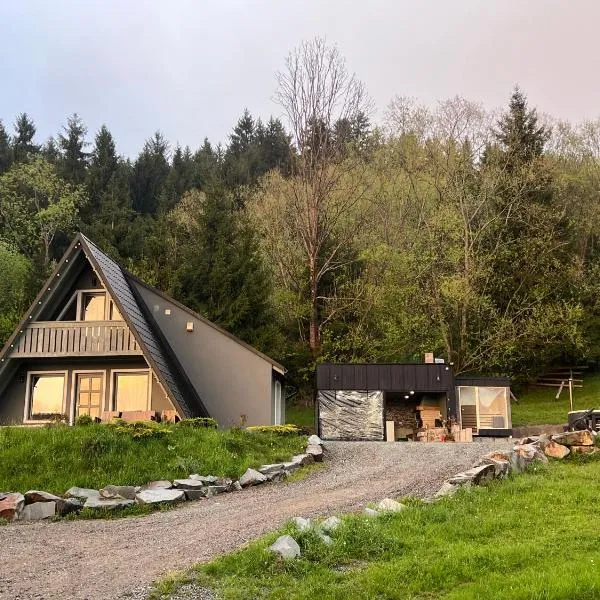 Cabana Doinița，位于博尔沙的酒店