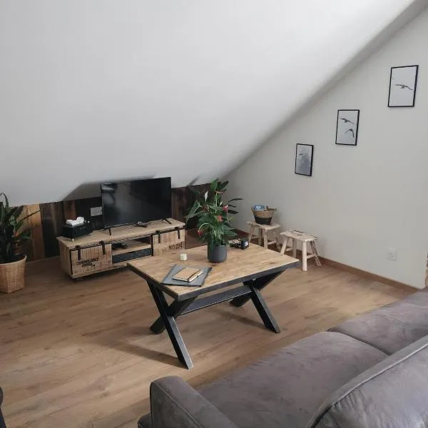 Appartement neuf Le Grenier d'Oscar，位于拉布雷斯的酒店