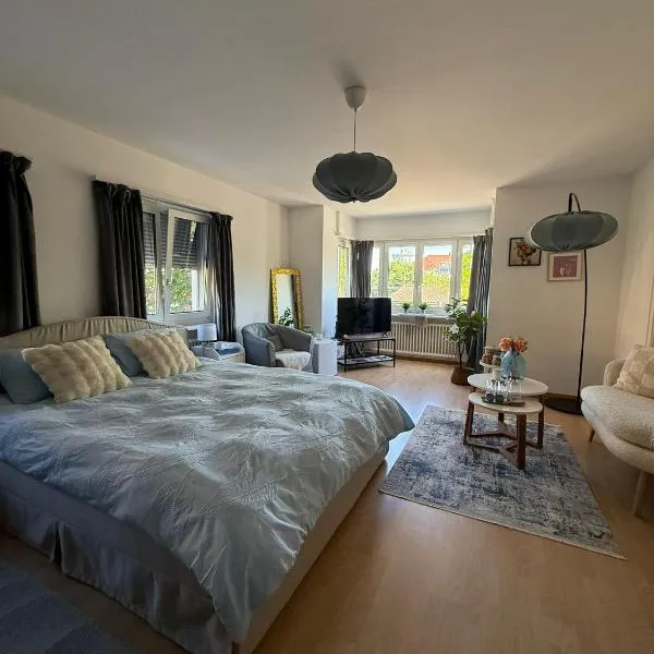 MTL Schweiz Apartments，位于克罗伊茨林根的酒店