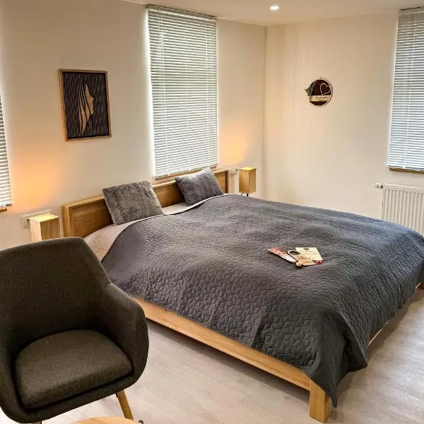 Pension Goldener Zwinger，位于迈宁根的酒店