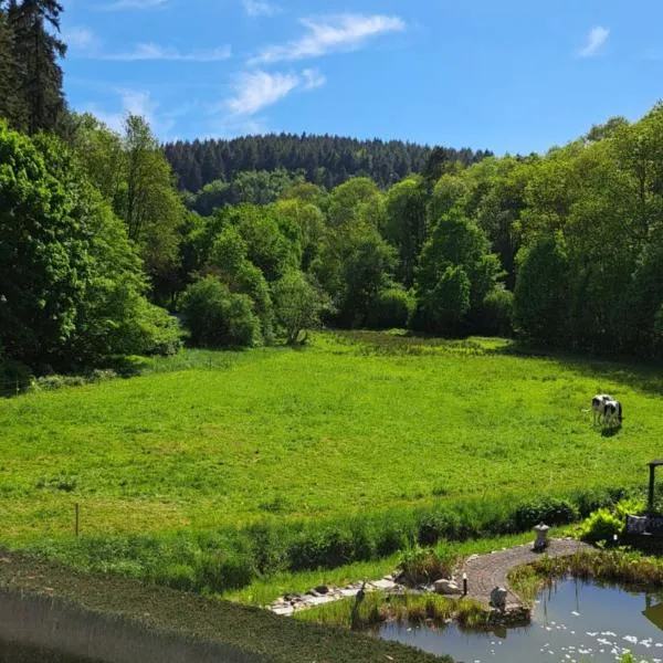 EL MIRADOR - Ferienwohnung Nähe Nürburgring - Eifel - Ahr - Rhein - RENOVIERT，位于Kempenich的酒店