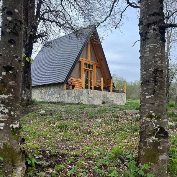 Holiday Home Veruša，位于波德戈里察的酒店