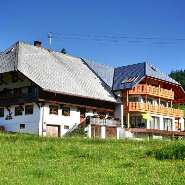 Bürschtehanse-Hof，位于Ibach的酒店