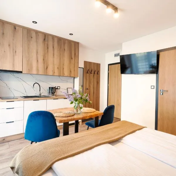 Apartamenty Pod Wyciągiem，位于维斯瓦的酒店
