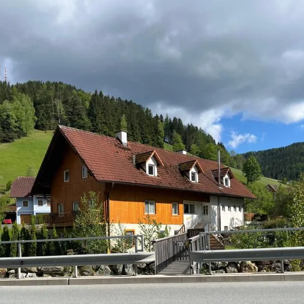 Haus Almblick 2，位于Gasen的酒店