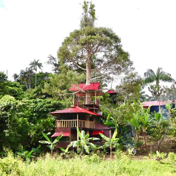 Reserva Natural Natura Park，位于Puerto Nariño的酒店