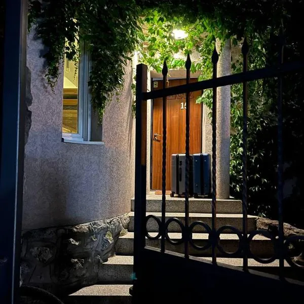 Brodsky's Cat Art Hostel，位于诺维萨德的酒店
