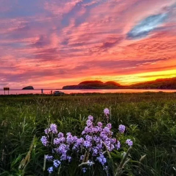 Red Sunset Cottage in Twillingate，位于特威林盖特的酒店