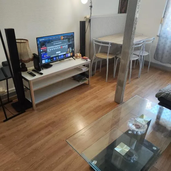 Spacieux studio meublé，位于Bischheim的酒店