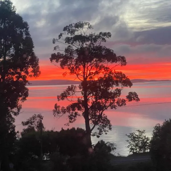 Spot the Sea eagle，位于Woodbridge的酒店