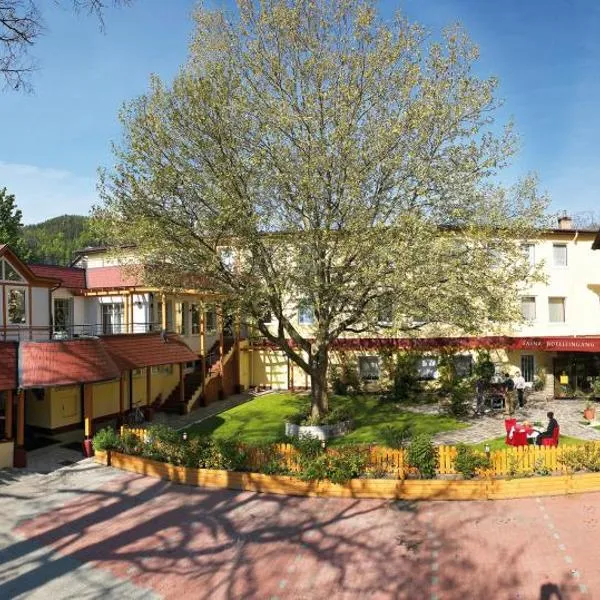 Hotel Payerbacherhof，位于Adlitzgraben的酒店