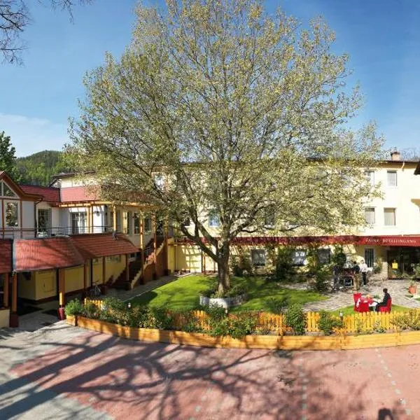Hotel Payerbacherhof，位于Schwarzau im Gebirge的酒店