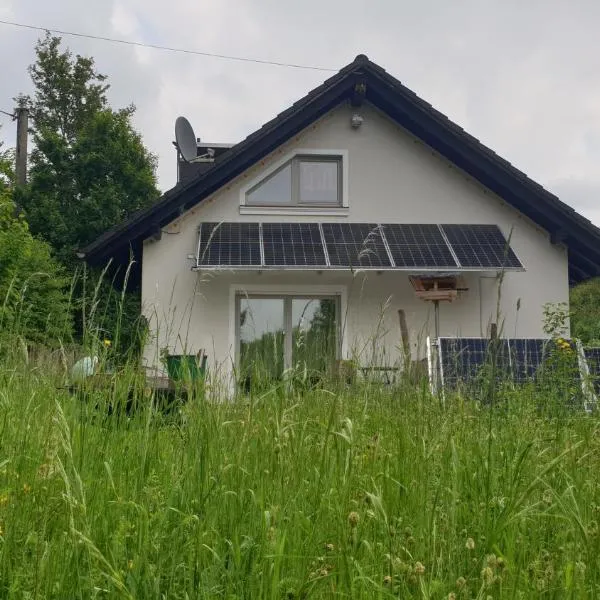 Luessishausen im Lüsserttal mit 140m2 und DSL，位于Feilbingert的酒店