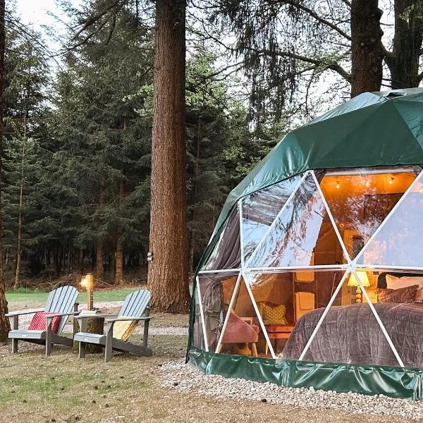 High Moor Glamping，位于雅莱的酒店
