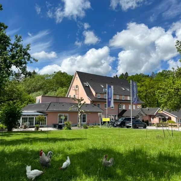 Landhaus Obere Säge，位于Schömberg的酒店