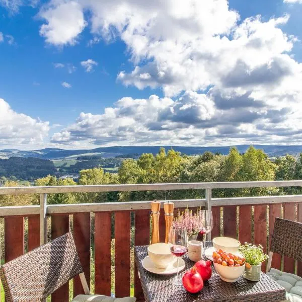 Apartment Bergliebe I Balkon I Aufzug I Stellplatz，位于施瓦岑贝格的酒店