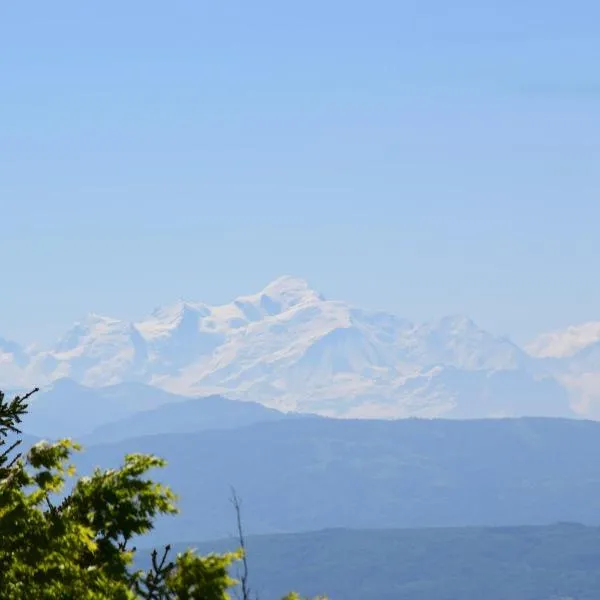 Chalet Calin - Business & Familles，位于阿泽尔的酒店