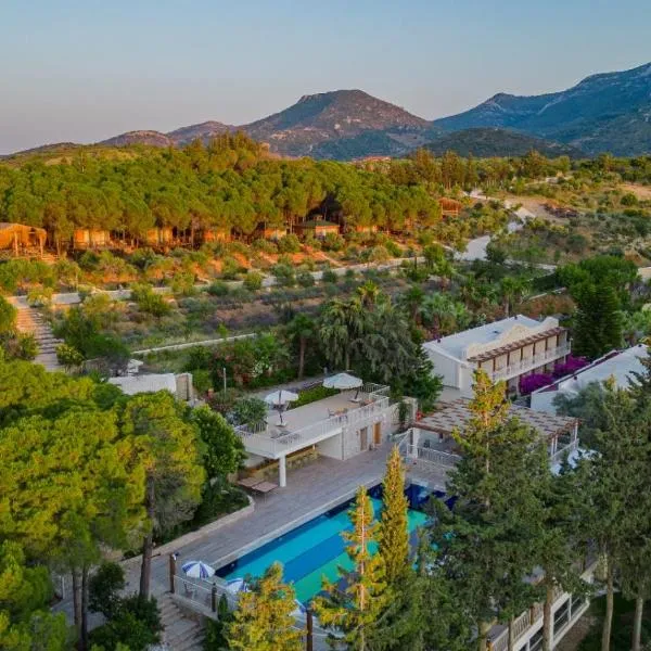 Kairos Valley Wellness & Longevity，位于达特恰的酒店