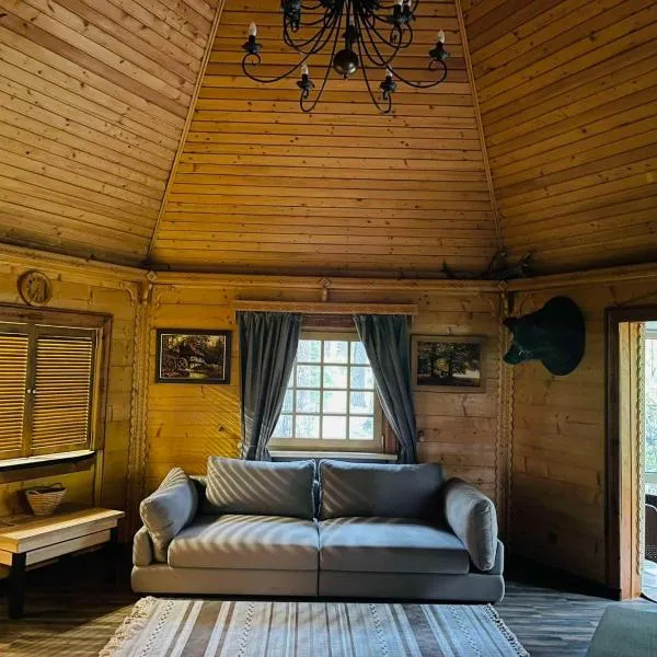 Ethno Complex Ukrayinske Selo，位于Buzovaya的酒店