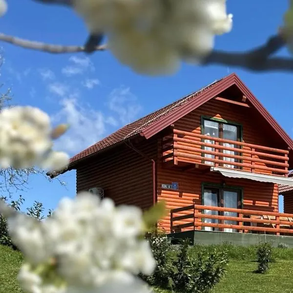 Resort Dudukovic 1，位于斯诺基的酒店