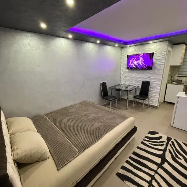 Element Apartman Obrenovac, Privatni Parking，位于Obrenovac的酒店