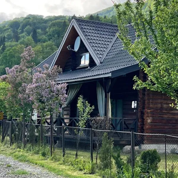 Заворіття，位于舍绍里的酒店