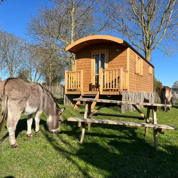 La Roulotte du Moulin de Thimougies，位于图尔奈的酒店