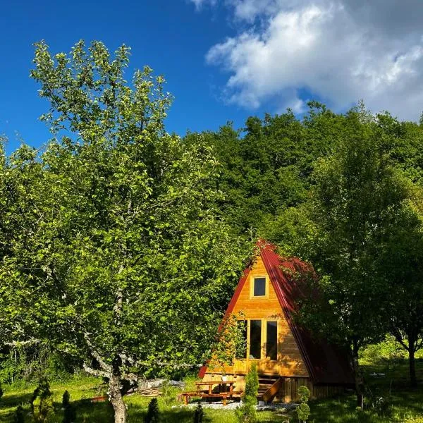 Tjentiste A-frame cabin，位于耶蒂斯特的酒店