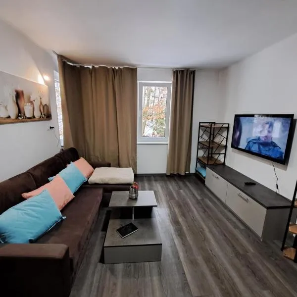 Apartmán Helena pod Klínovcem，位于卡罗维发利的酒店