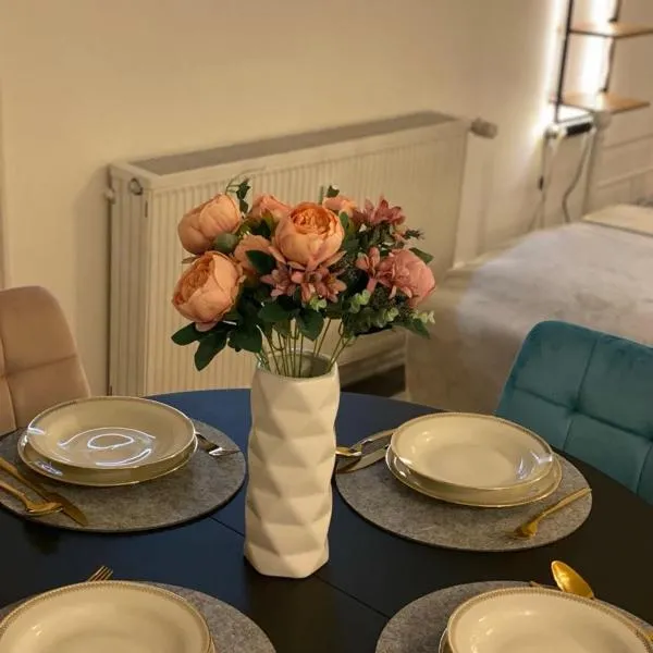 Zentrum der Ruhe - Appartment，位于Waldmohr的酒店