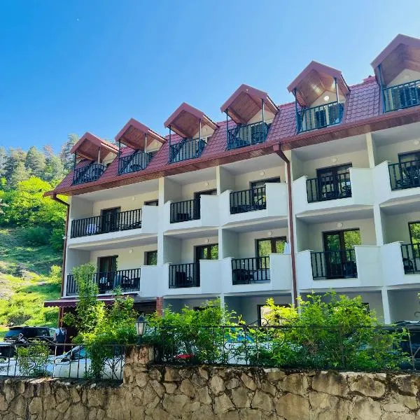 Hotel Iveria，位于阿巴斯图马尼的酒店