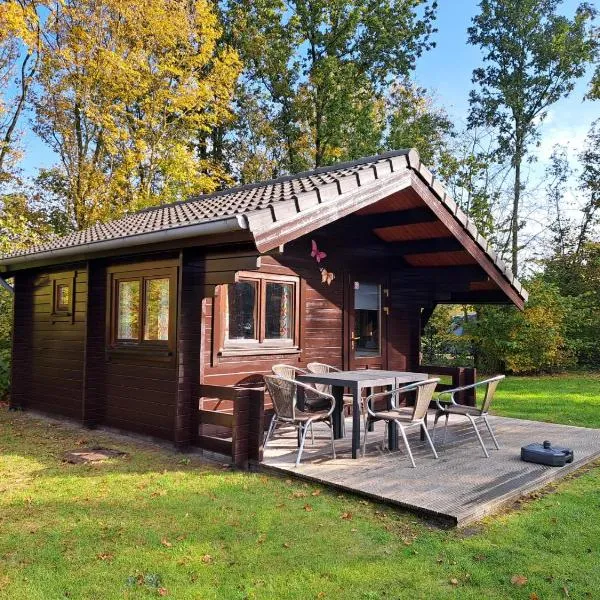 Camping Alkenhaer Appelscha Blokhut Plus，位于阿珀尔斯哈的酒店