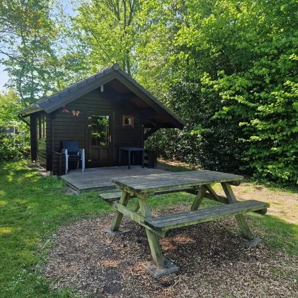 Camping Alkenhaer Appelscha Blokhut Basic，位于阿珀尔斯哈的酒店