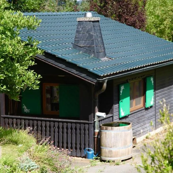 Jagdhütte，位于Zöllnitz的酒店