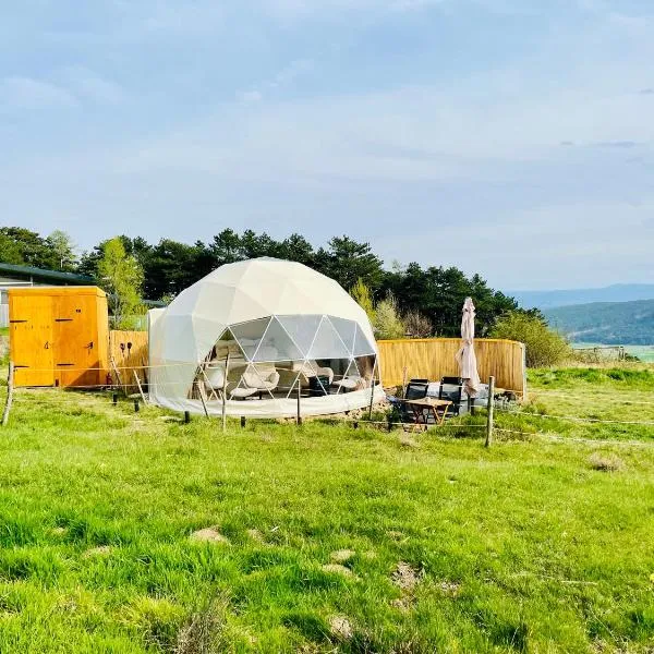 Glamping Hohe Wand - Zelt mit Sternenfenster und Whirlpool，位于Maiersdorf的酒店