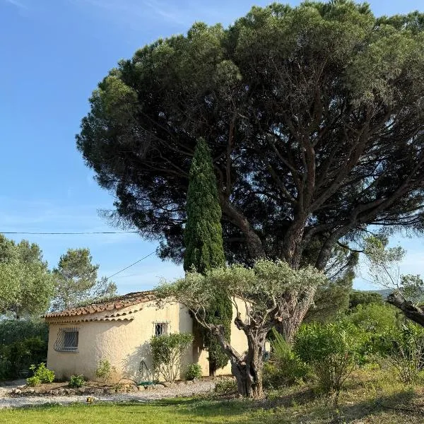 Le mazet du grand pin，位于孔格林的酒店