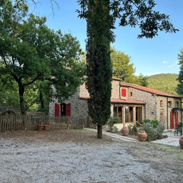 Podere Diacciolini near Massa Marittima，位于Fontalcinaldo的酒店